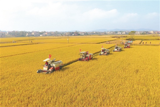 四川富硒水果种植(四川富硒地区)-硒宝网