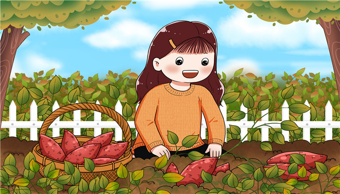 红薯是富硒水果吗（红薯的含硒量）-硒宝网