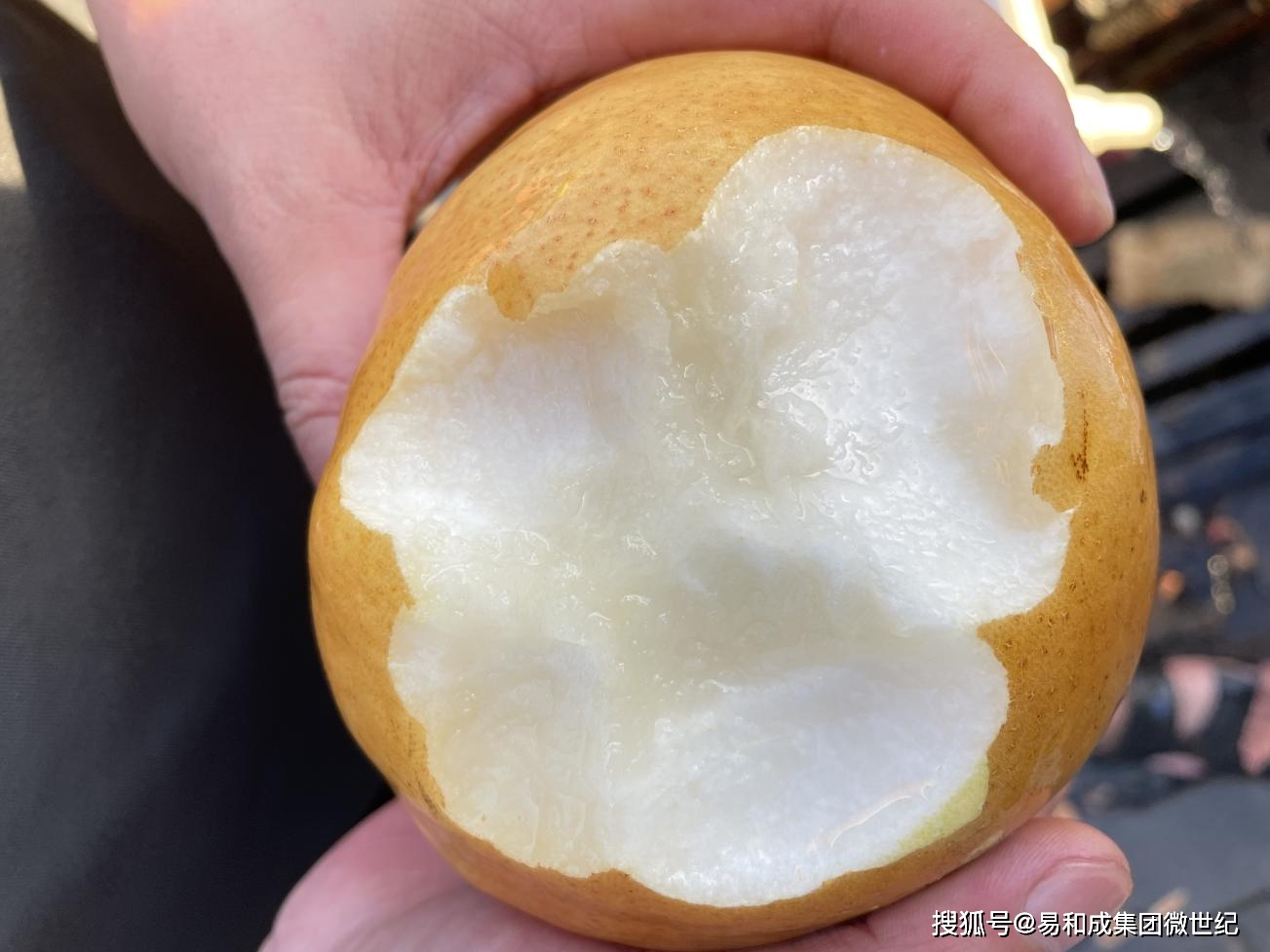 沂蒙富硒金梨水果(山东富硒梨)-硒宝网