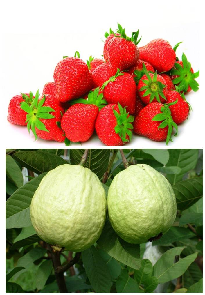 富硒水果是哪几种（富硒对水果的作用如何）-硒宝网