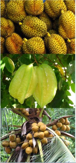 富硒水果是哪几种（富硒对水果的作用如何）-硒宝网