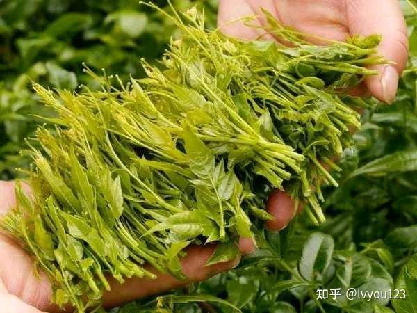 野生湖北富硒藤茶(富硒藤茶的功效与作用)-硒宝网