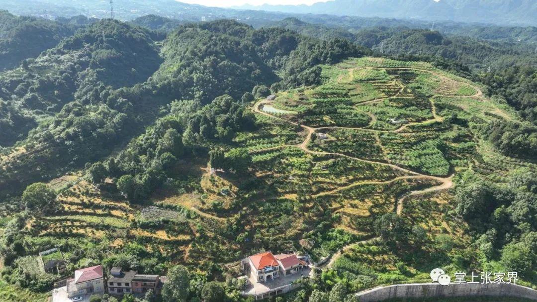 富硒水果生产厂家（富硒水果前十名）-硒宝网