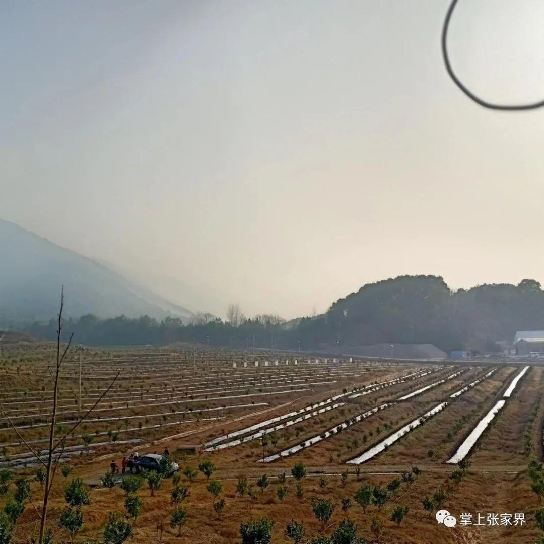 富硒水果生产厂家（富硒水果前十名）-硒宝网