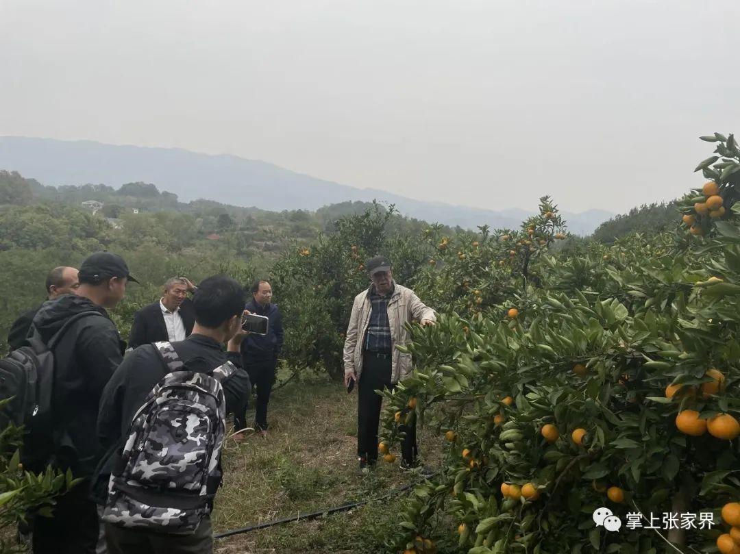 富硒水果生产厂家（富硒水果前十名）-硒宝网