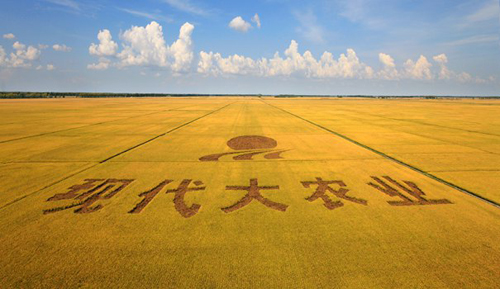 恩施硒产品硒分析（恩施生产硒的厂家）-硒宝网