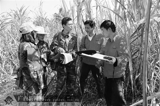 广西富硒地区名单(广西富硒产业)-硒宝网