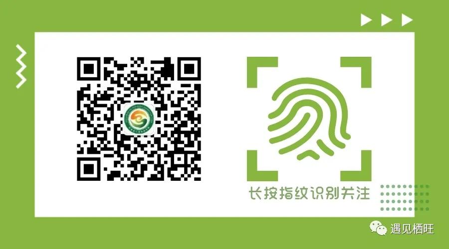 食物里带硒的产品(食物中的硒含量)-硒宝网