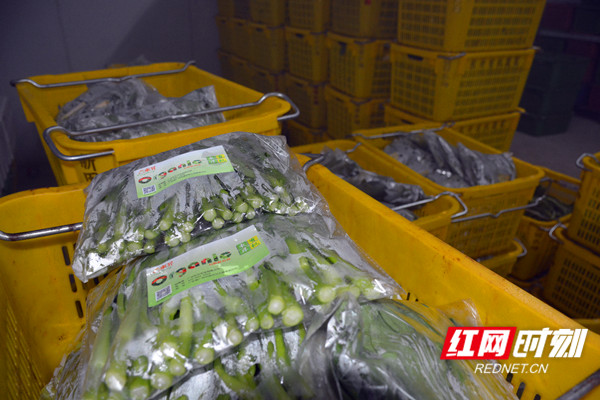 于都当地富硒产品（于都富硒产业发展中心）-硒宝网