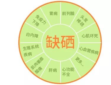 有机硒什么产品好(硒类产品)-硒宝网