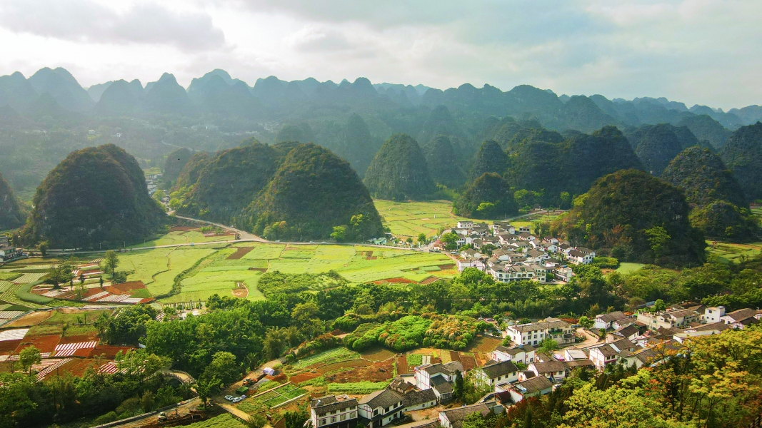 峰林硒产品 中国（峰林茶叶店）-硒宝网