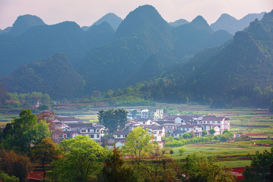 峰林硒产品 中国（峰林茶叶店）-硒宝网