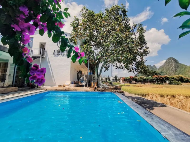 峰林硒产品 中国（峰林茶叶店）-硒宝网