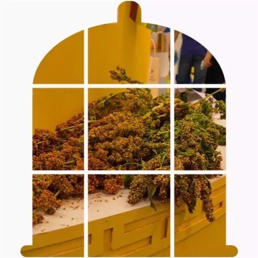 有机硒产品的味道（补硒产品图片琳琅满目）-硒宝网