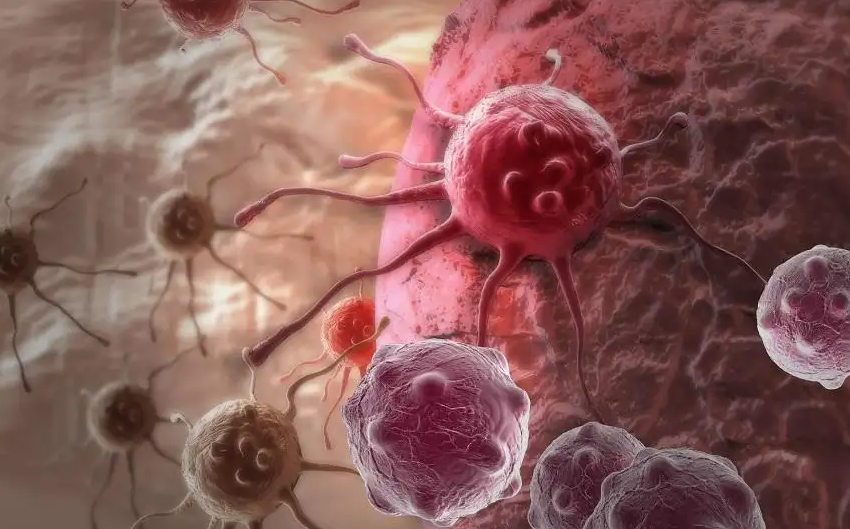 含硒产品 0效果(富含硒的产品)-硒宝网