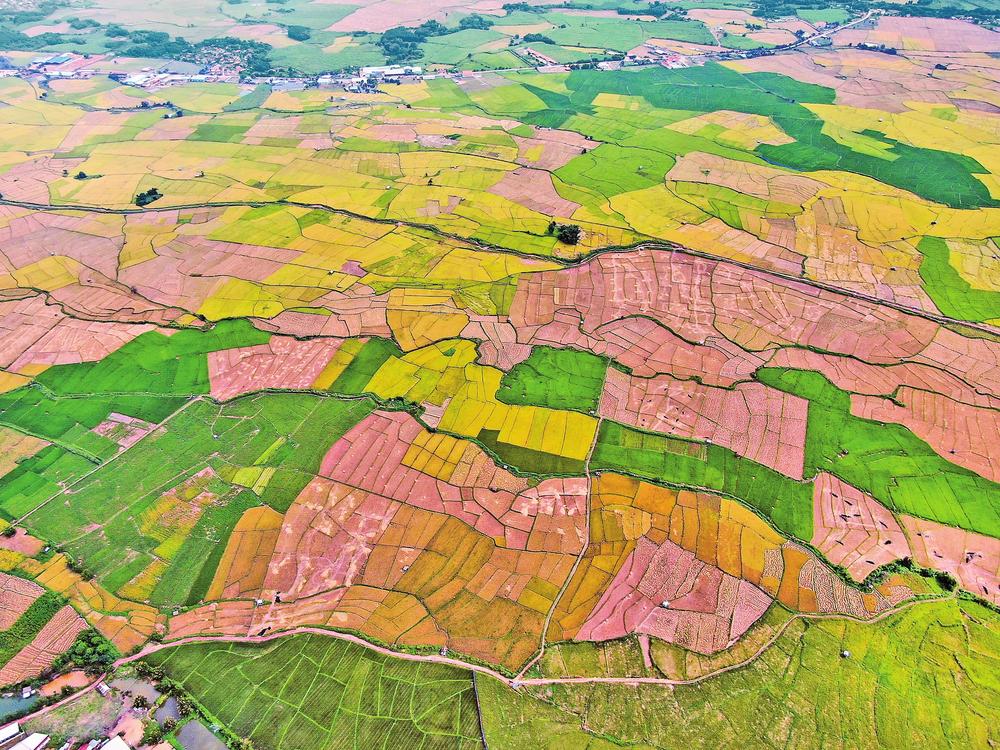 峰林硒产品 中国（峰林生物有限公司）-硒宝网