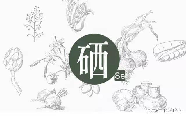 纯植物活性硒产品(纯植物活性硒对人有啥作用)-硒宝网