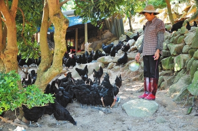 满福硒农产品产品(海福硒多糖)-硒宝网