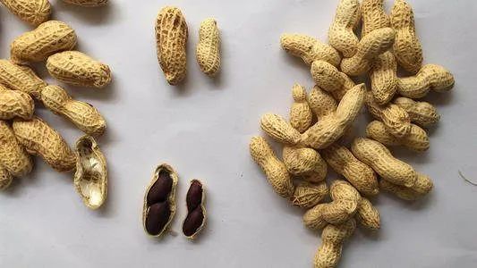 含有硒最多的产品(富含硒的产品)-硒宝网