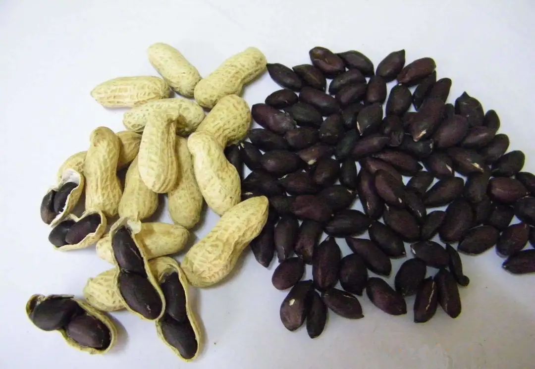 含有硒最多的产品(富含硒的产品)-硒宝网