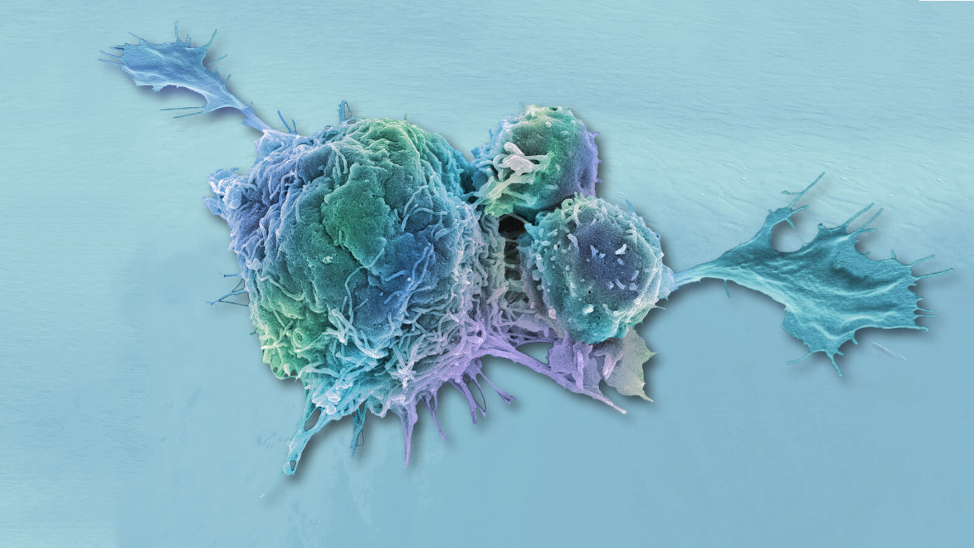 硒产品的服用方法(服用方法产品硒含量高吗)-硒宝网