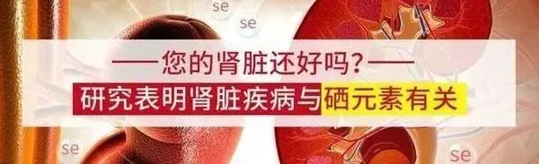 硒产品肾炎能吃吗(能吃肾炎产品硒元素片吗)-硒宝网