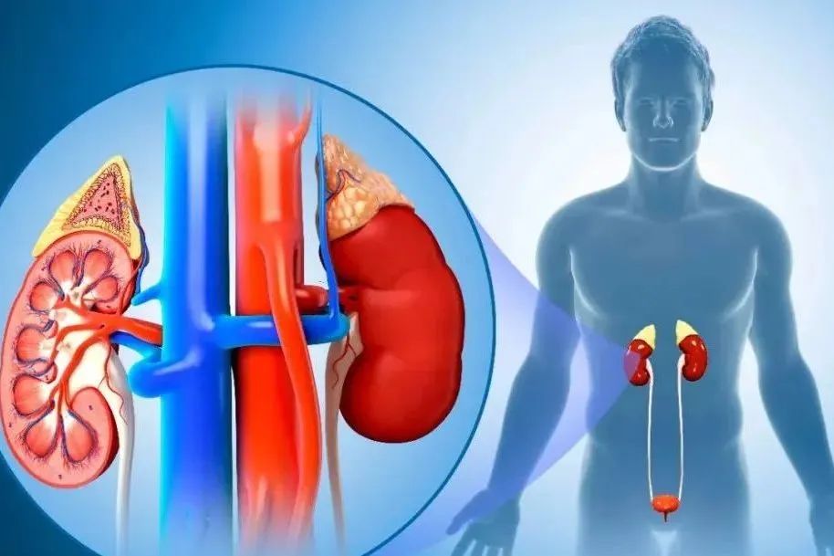 硒产品肾炎能吃吗(能吃肾炎产品硒元素片吗)-硒宝网