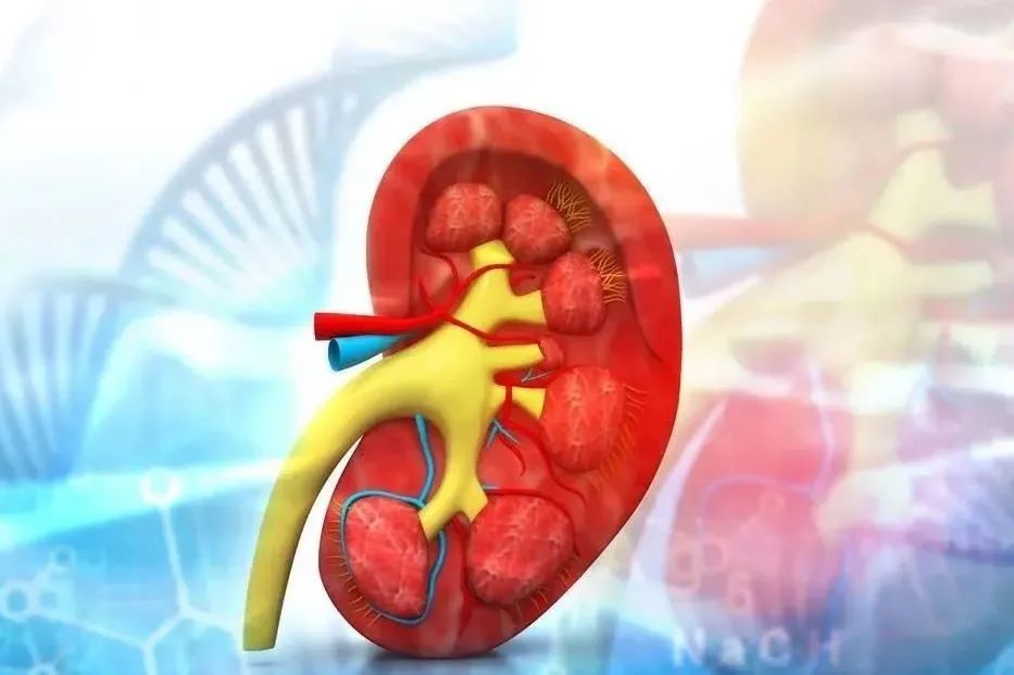 硒产品肾炎能吃吗(能吃肾炎产品硒元素片吗)-硒宝网