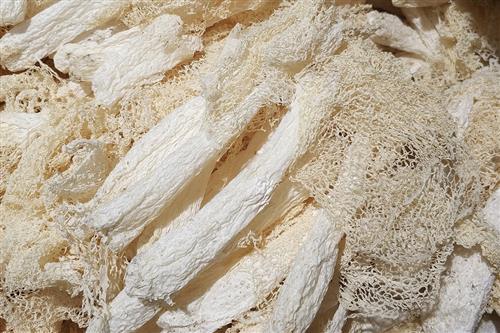 每天吃多少硒产品（每天吃产品硒多少克）-硒宝网