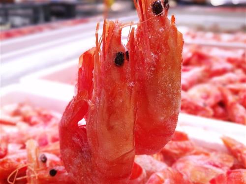 每天吃多少硒产品（每天吃产品硒多少克）-硒宝网