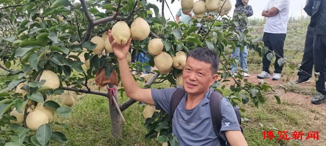 山东富硒产品协会(山东富硒农产品协会)-硒宝网