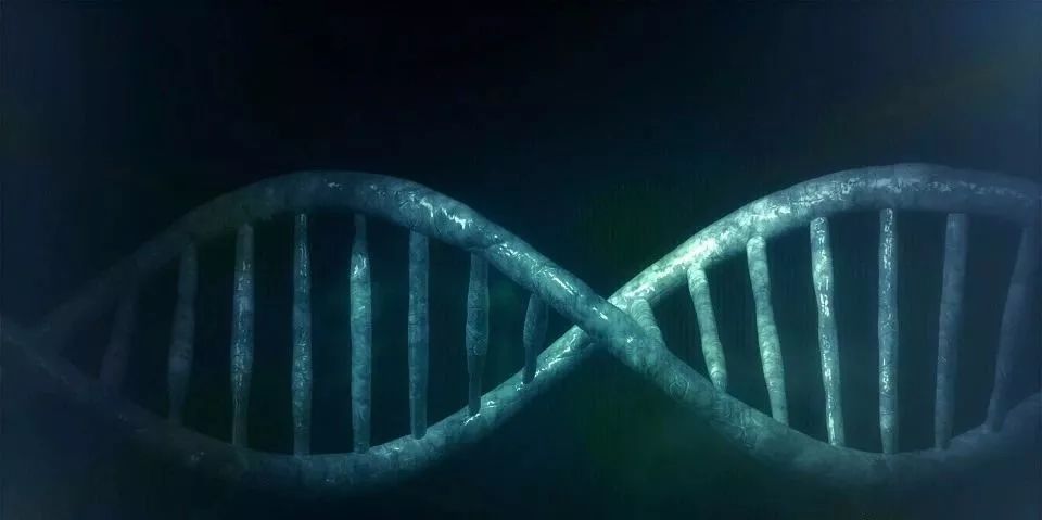 硒产品的几个阶段(硒产品分类)-硒宝网