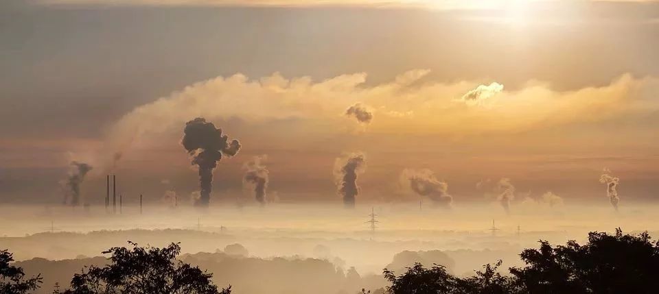 硒产品的几个阶段(硒产品分类)-硒宝网