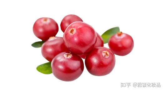 纳米硒宝产品介绍(纳米硒的功效与作用)-硒宝网