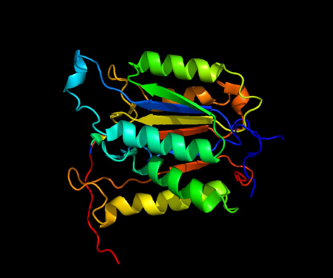 硒的产品哪种好些（硒产品图片）-硒宝网