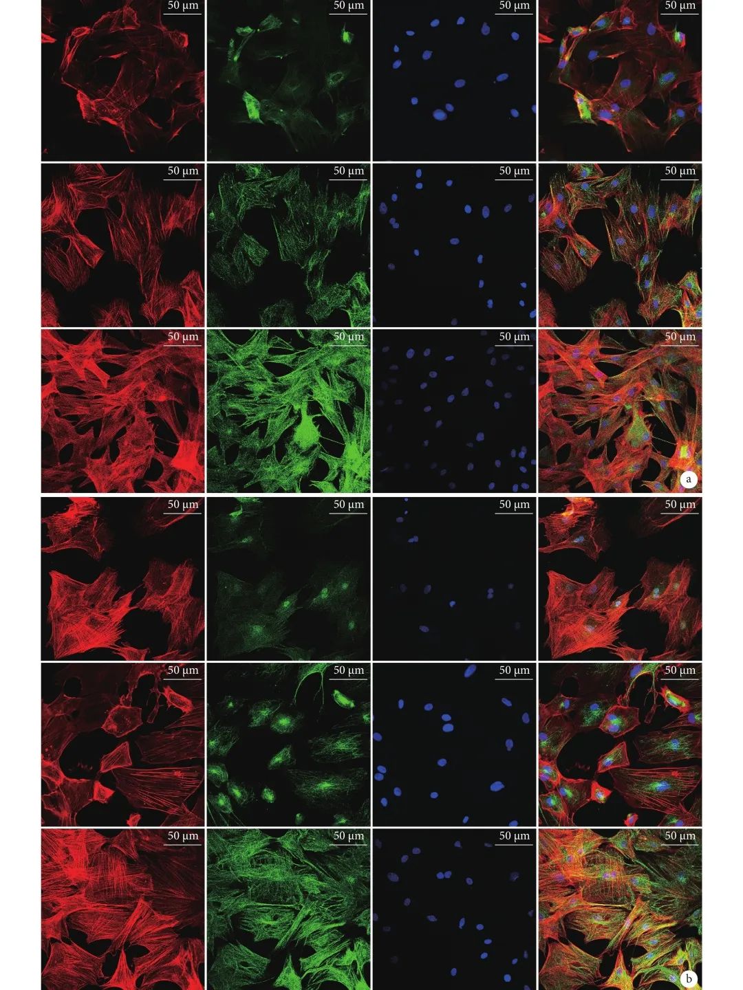 硒的产品哪种好些（硒产品图片）-硒宝网