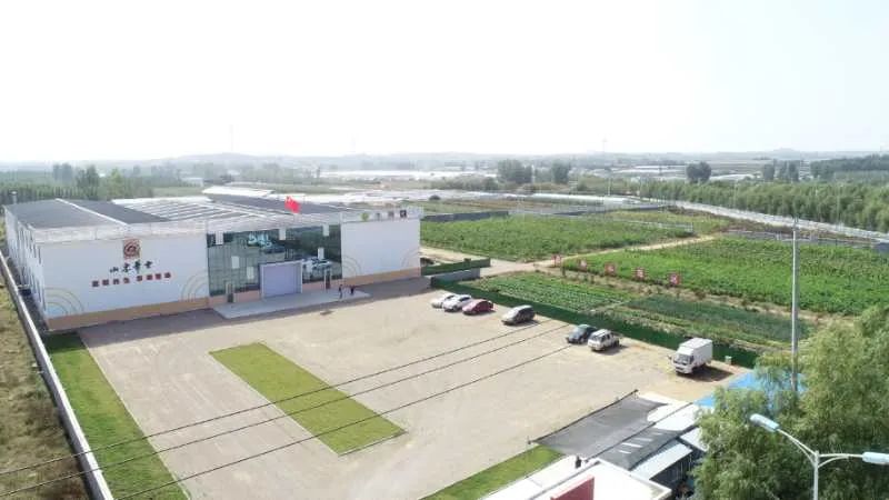 山东产品硒的公司（山东产品硒公司有几家）-硒宝网