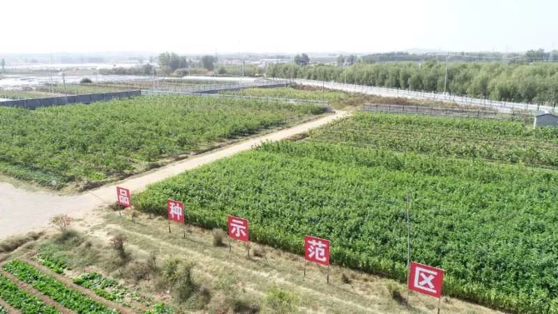 山东产品硒的公司（山东产品硒公司有几家）-硒宝网