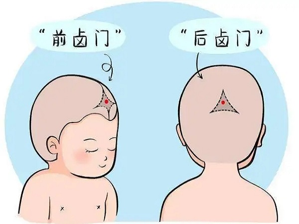 硒产品的销售模式(产品销售模式的类型)-硒宝网