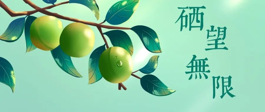 山东产品硒的公司(山东硒分布图)-硒宝网