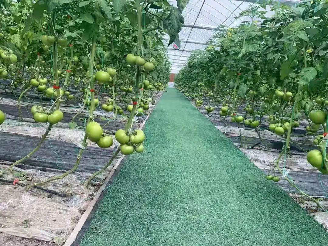 山东产品硒的公司(山东硒分布图)-硒宝网