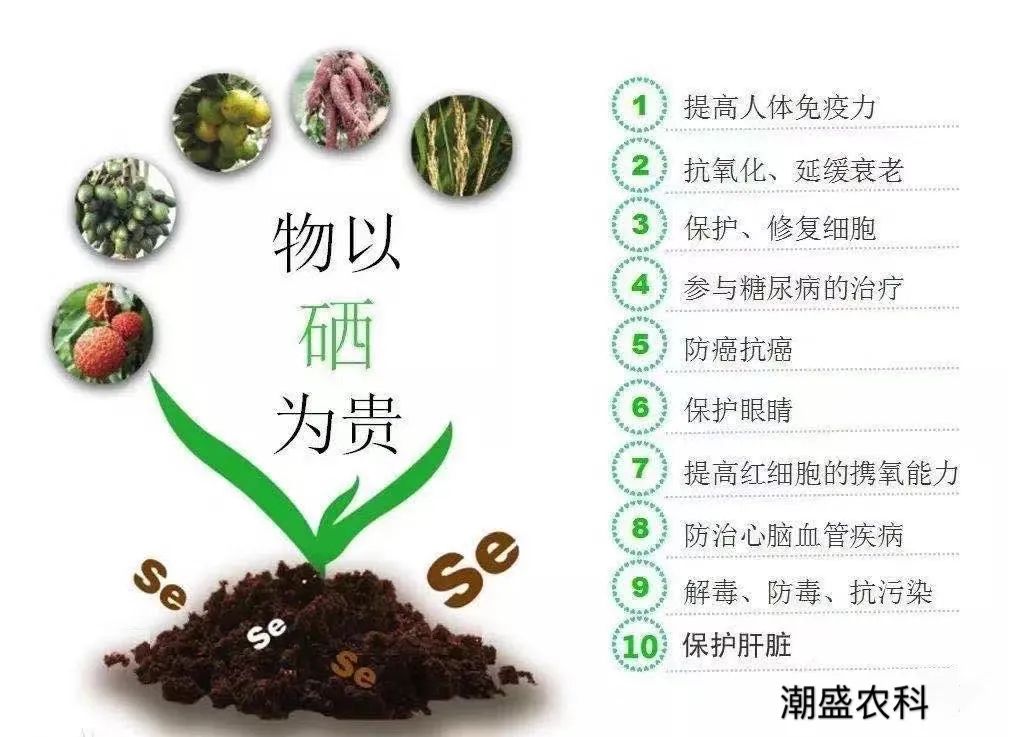 山东产品硒的公司(山东硒分布图)-硒宝网