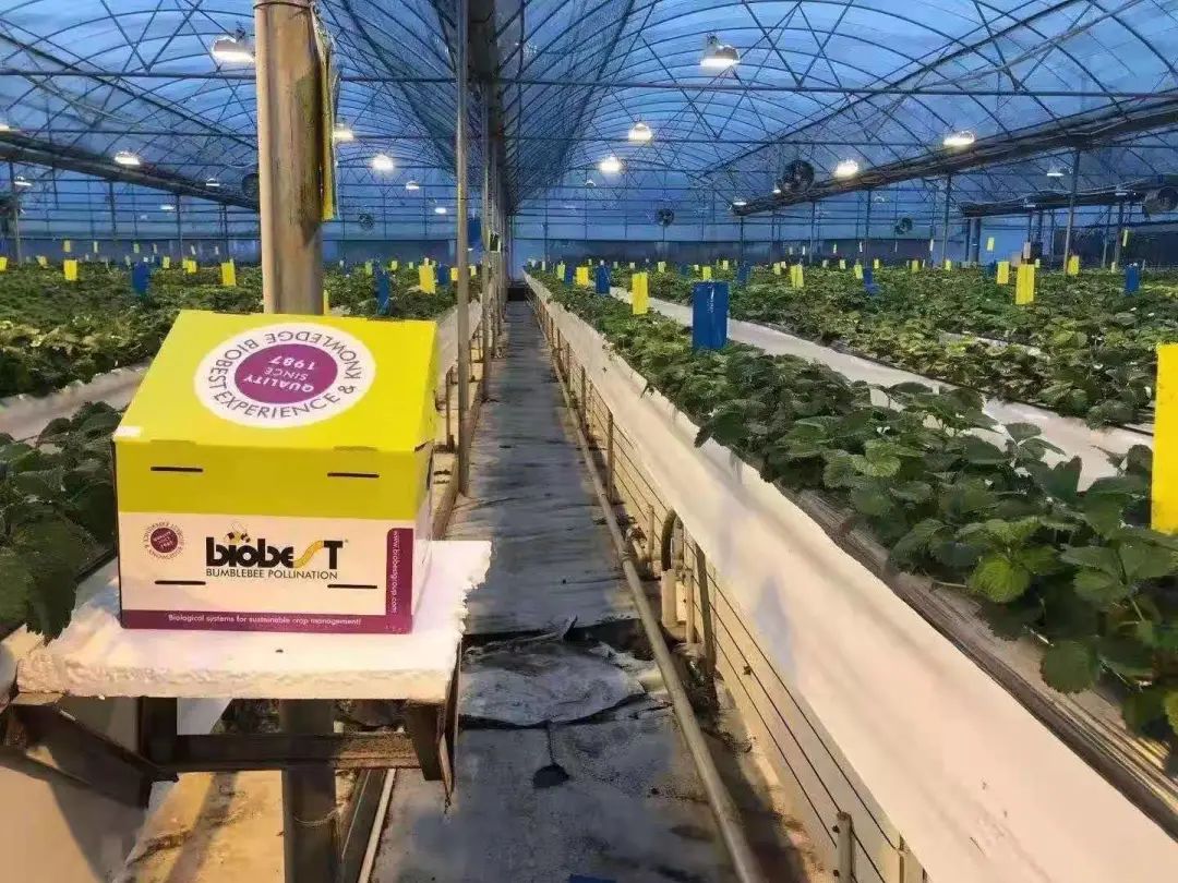 山东产品硒的公司(山东硒分布图)-硒宝网