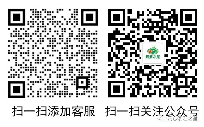 哪种硒产品吸收好（吸收种好产品硒含量多少）-硒宝网