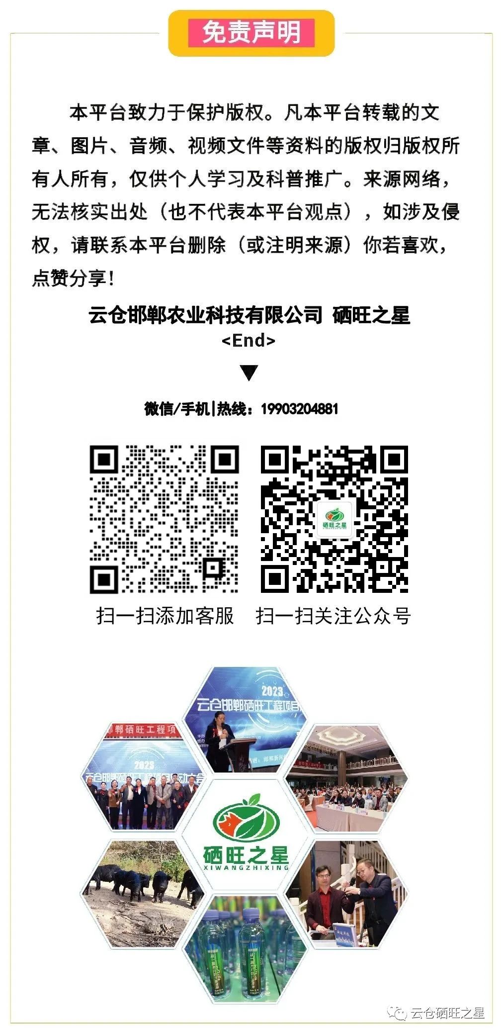 哪种硒产品吸收好（吸收种好产品硒含量多少）-硒宝网