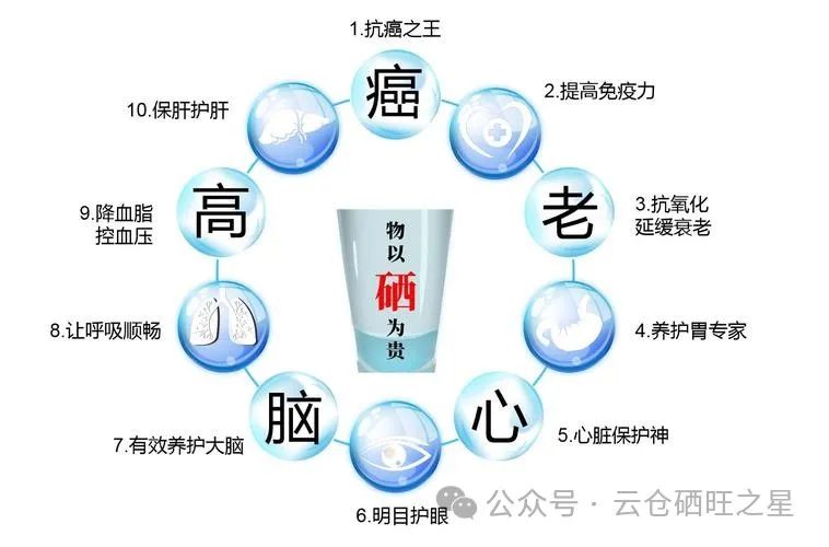 哪种硒产品吸收好（吸收种好产品硒含量多少）-硒宝网