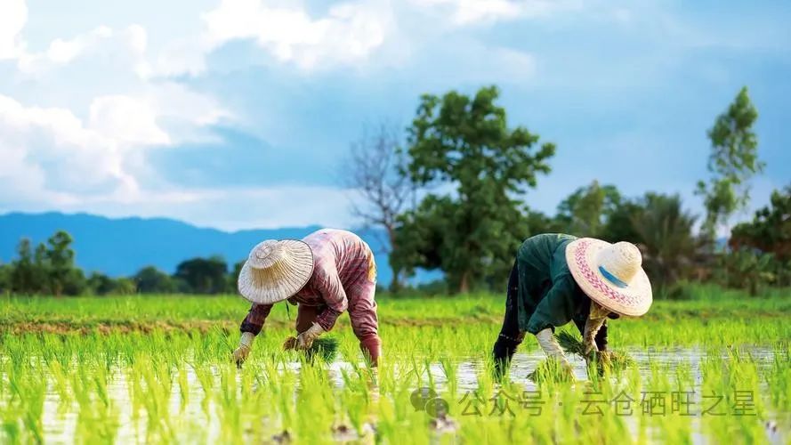 哪种硒产品吸收好（吸收种好产品硒含量多少）-硒宝网