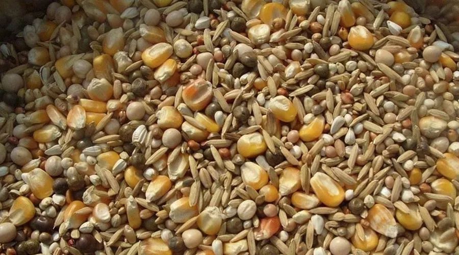 饲料级硒产品市?。ㄋ橇衔抗冶曜迹?硒宝网