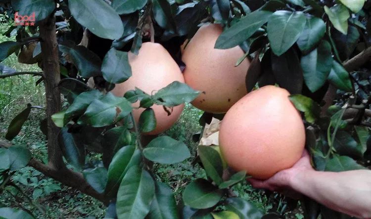 巴马出产硒产品吗(出产巴马产品硒含量多少)-硒宝网