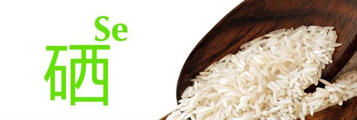 亚硒酸钠产品标准(硒酸钠溶液毒性)-硒宝网